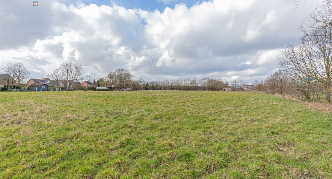 Landbouwgrond te koop in SINT-AMANDS